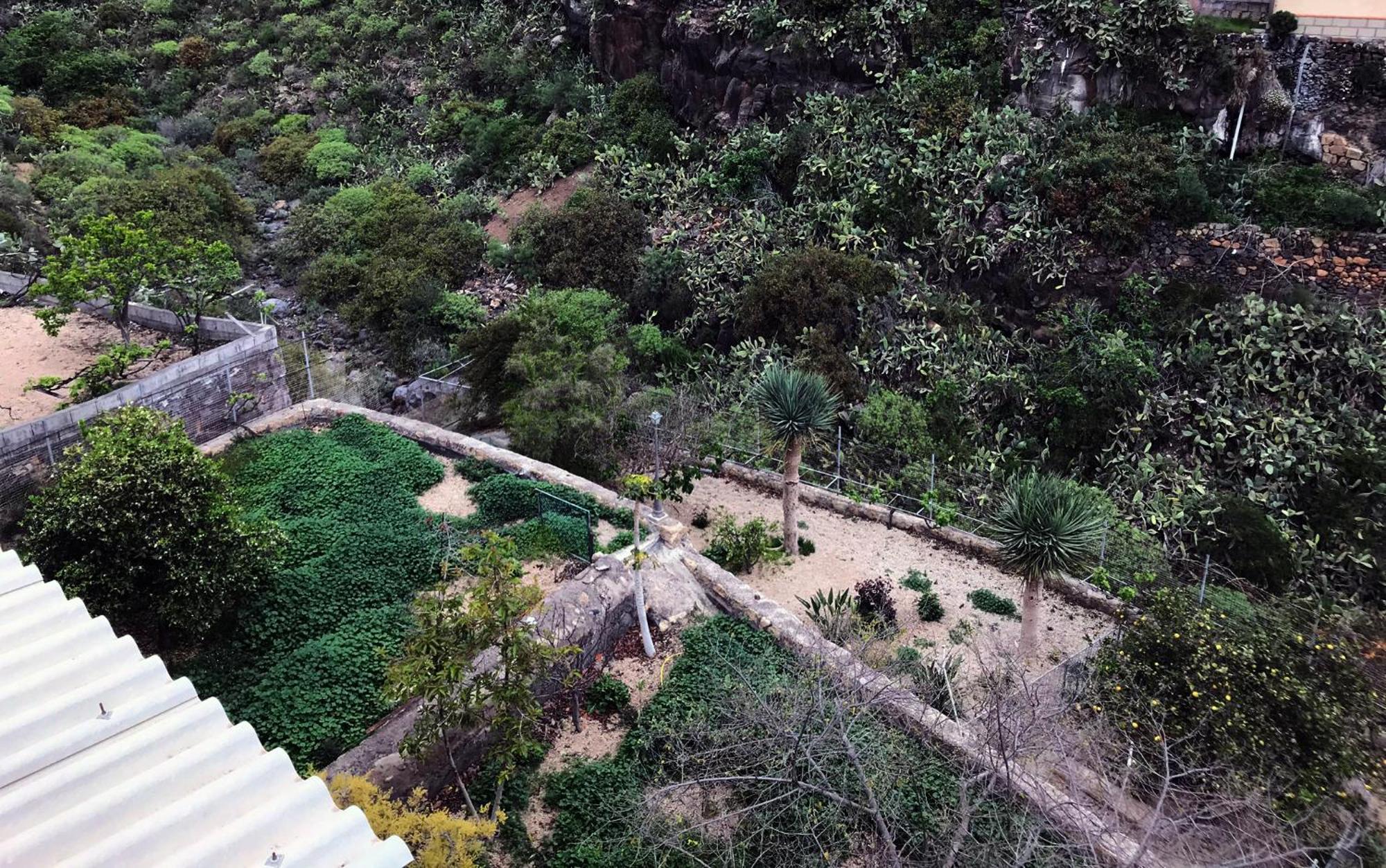 Acogedor Apartamento En San Miguel De Abona Exteriér fotografie